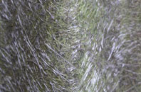 Little Cubley fibreglass roof work